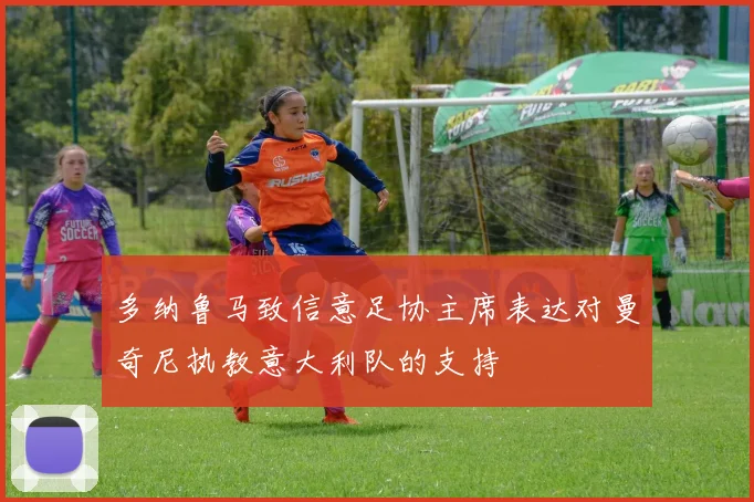 多纳鲁马致信意足协主席表达对曼奇尼执教意大利队的支持