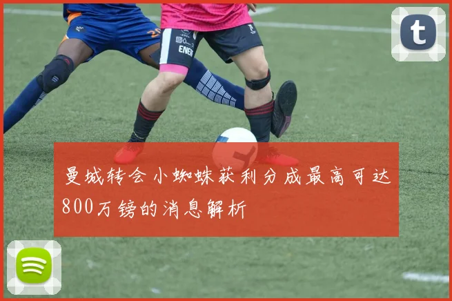 曼城转会小蜘蛛获利分成最高可达800万镑的消息解析