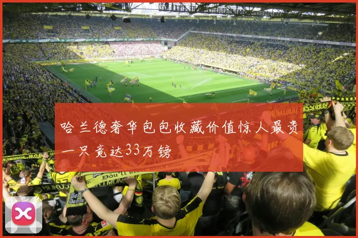 哈兰德奢华包包收藏价值惊人最贵一只竟达33万镑